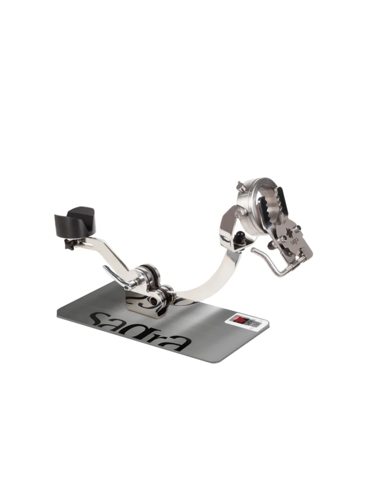 Imagen del Jamonero giratorio mandibular basculante Sagra Evolution E11 en acero