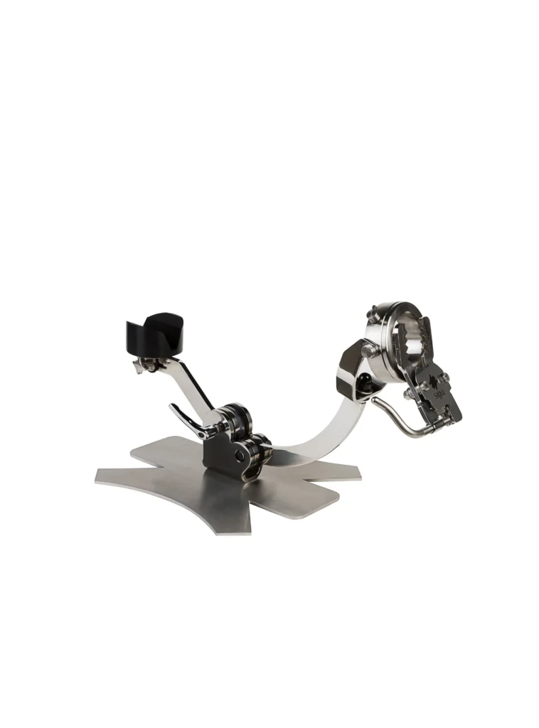 Imagen del Jamonero giratorio mandibular basculante Sagra Evolution E11 sin base