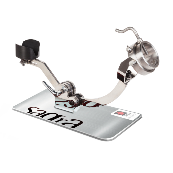 Saga Evolution-jamoneros